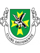 Os Gavionenses